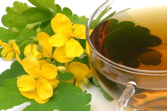 Infusion de chélidoine pour le traitement de la prostatite.